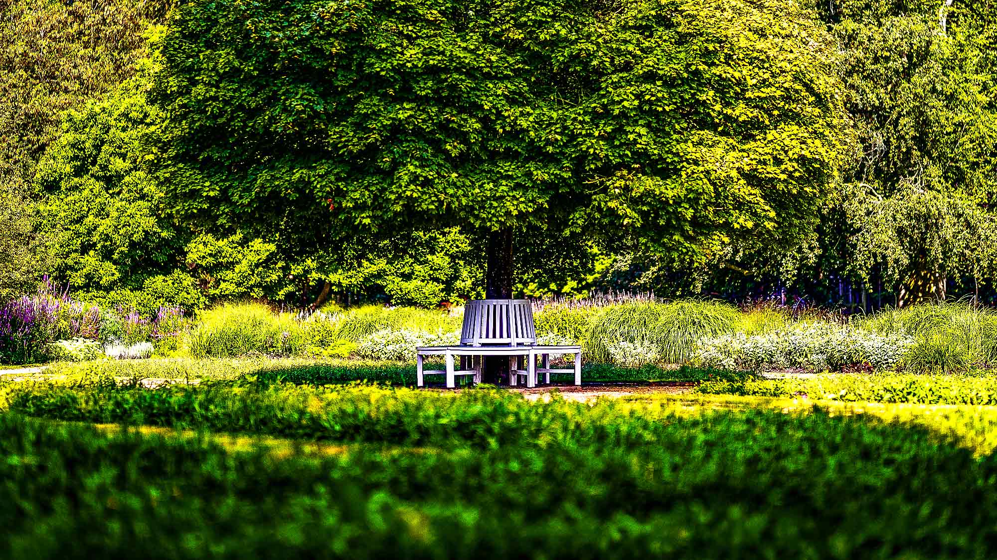 NOW Commons: Kugelahorn und Rondellbank, Botanischer Garten Gütersloh … NOW Commons: Kugelahorn und Rondellbank, Botanischer Garten Gütersloh …