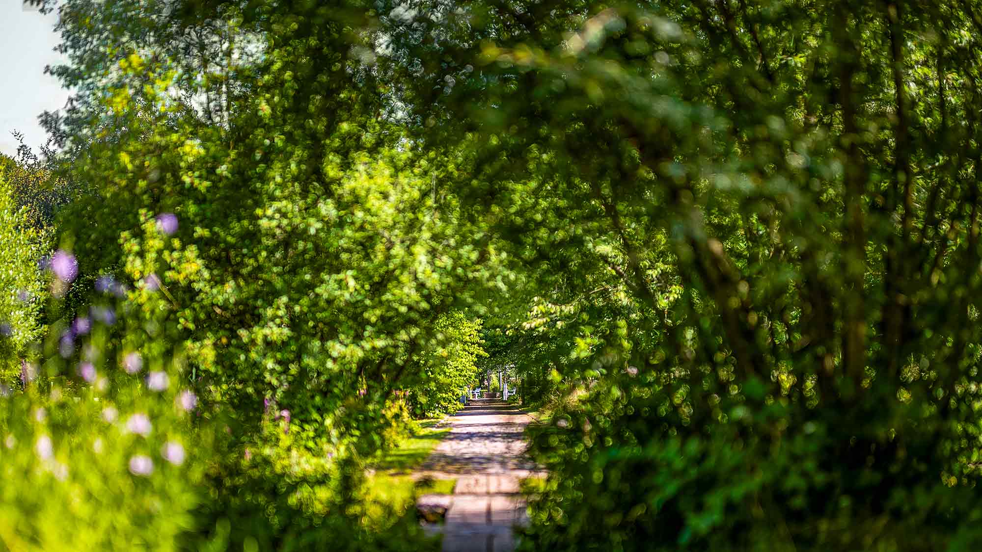 NOW Commons: Botanischer Garten Gütersloh … NOW Commons: Botanischer Garten Gütersloh …