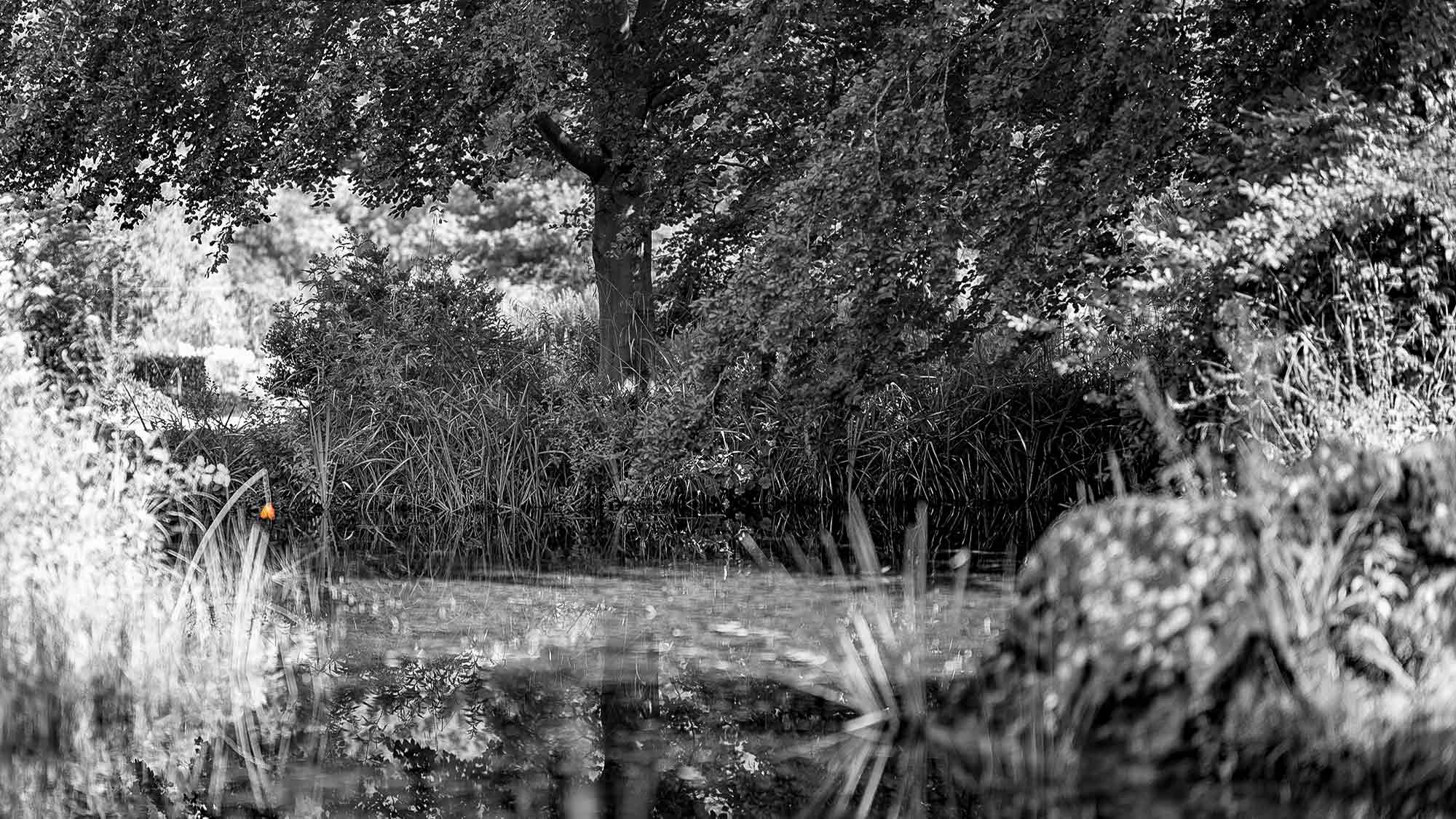 NOW Commons: Botanischer Garten Gütersloh …