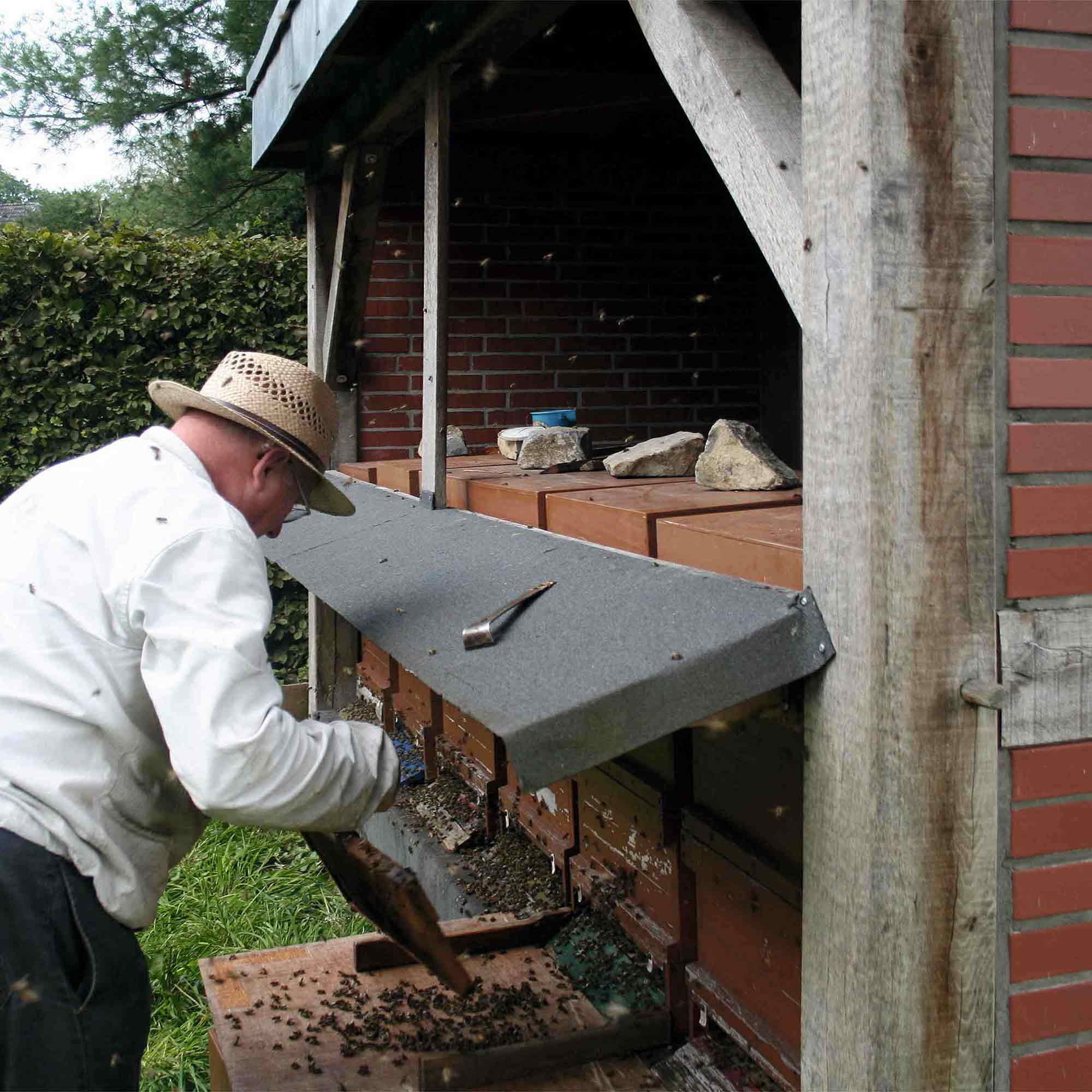 Botanischer Garten Gütersloh – »Fleißige Bienen«, »100 Jahren Botanischer« (2012) Botanischer Garten Gütersloh – »Fleißige Bienen«, »100 Jahren Botanischer« (2012)