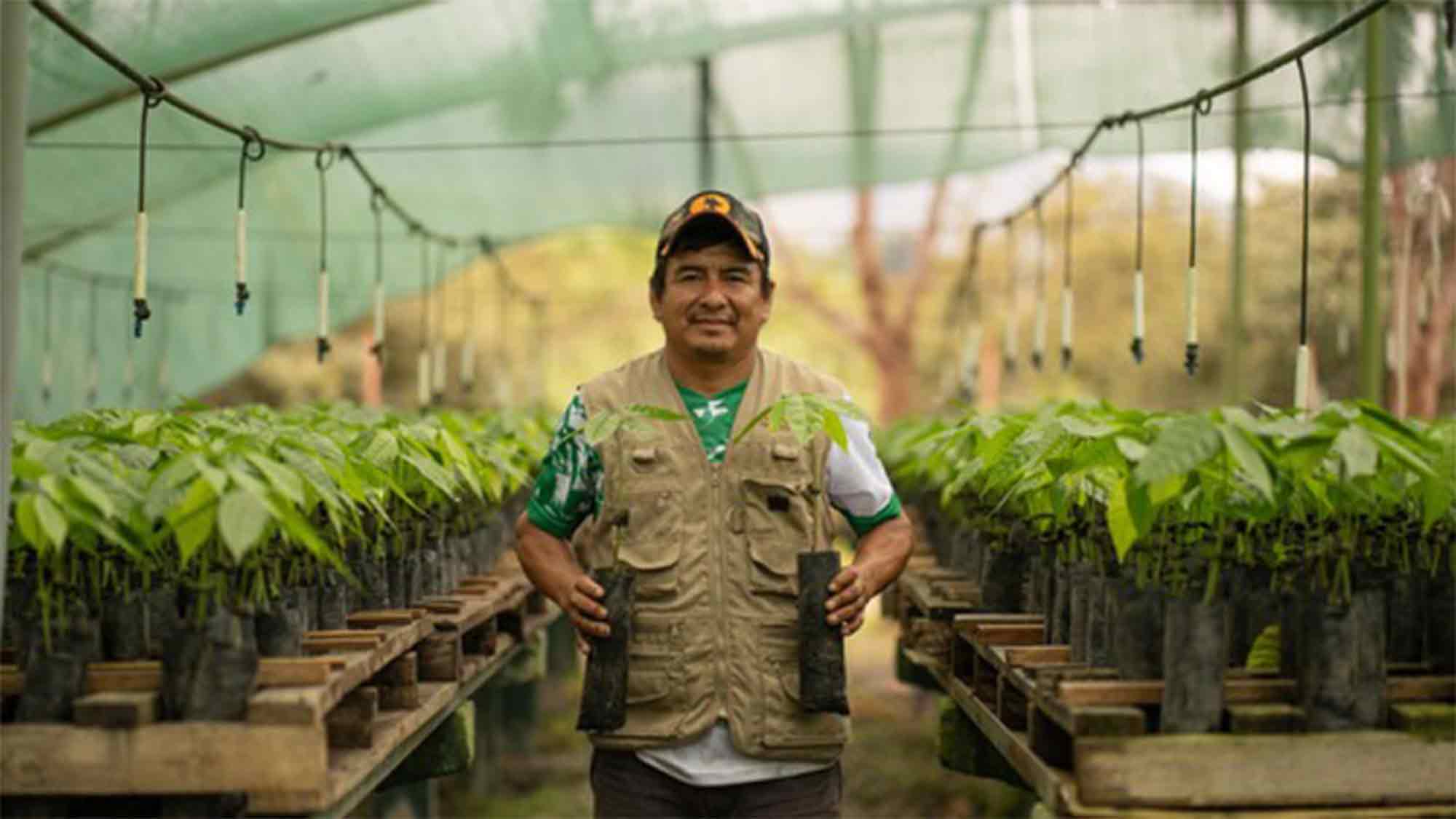 Hat Landwirtschaft weltweit noch Zukunft? »Fairtrade« fordert Verbot von Preisen unter Produktionskosten