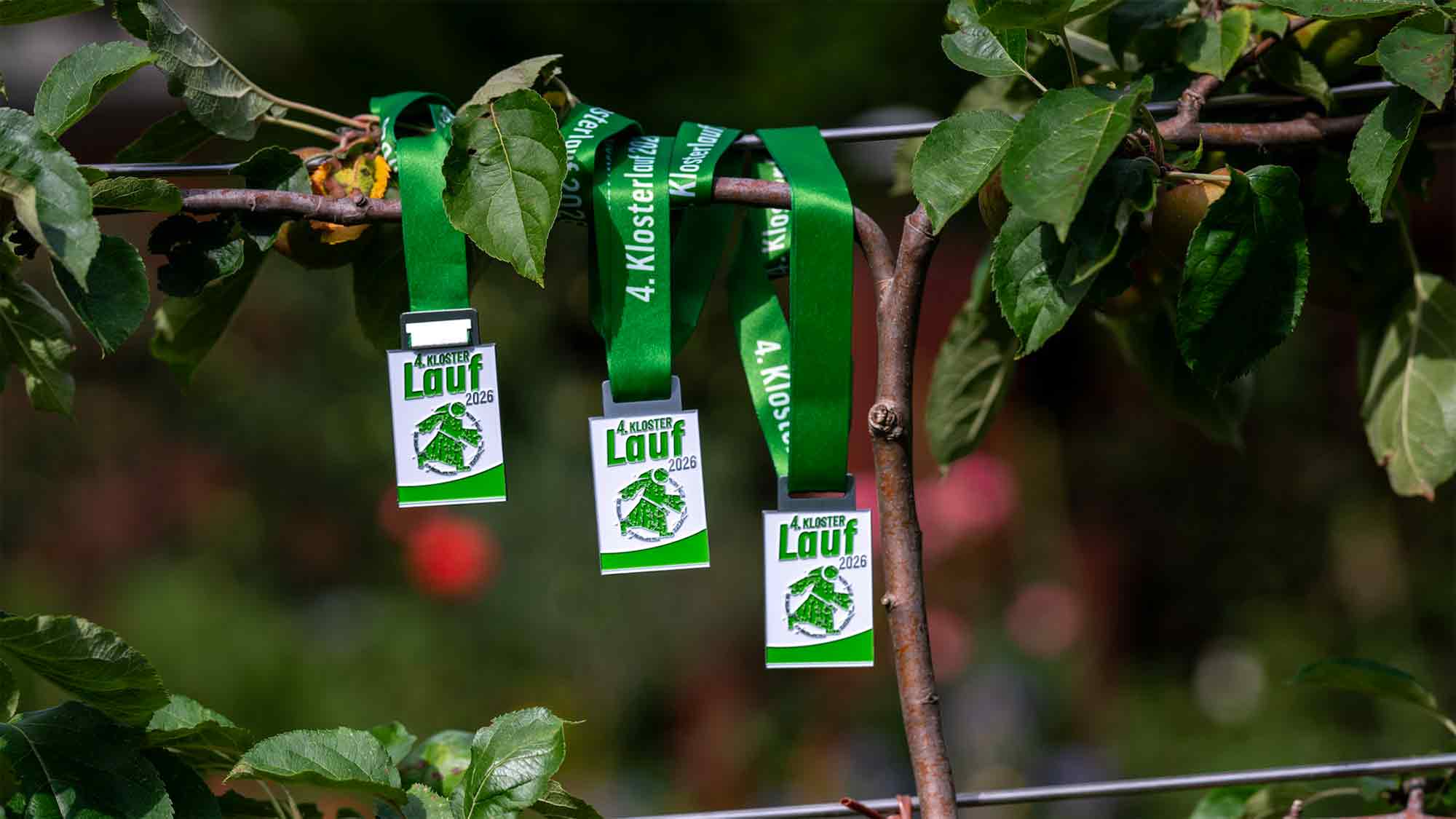Vierter »KlosterLauf« in Wiedenbrück am 12. September 2026: jetzt noch anmelden Vierter »KlosterLauf« in Wiedenbrück am 12. September 2026: jetzt noch anmelden