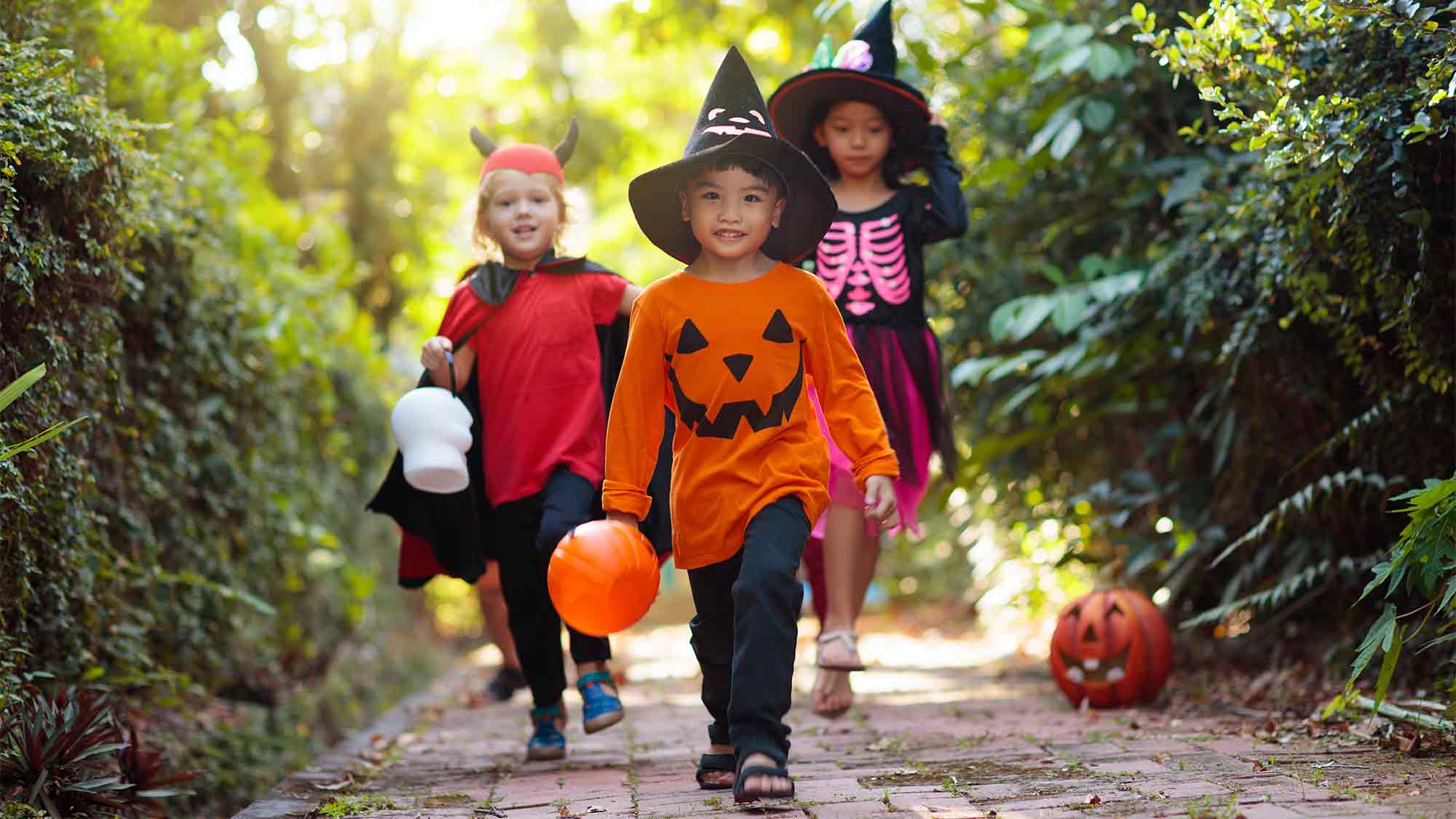 Kleine Monster aufgepasst: »Kids Halloween« ist zurück im Wunderland Kalkar, 10. und 11. sowie 17. bis 31. Oktober 2026