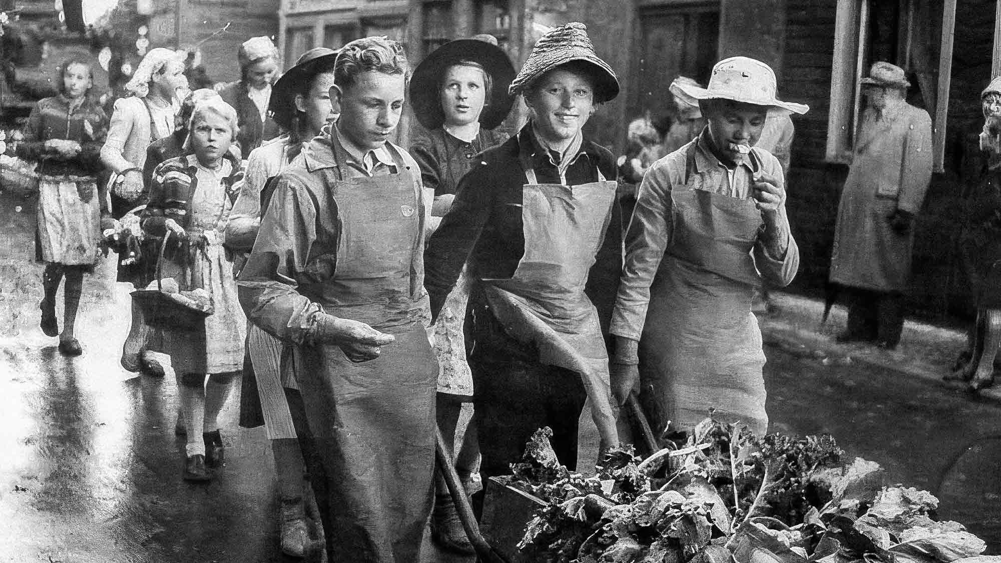 NOW Commons: Festumzug 1954 mit den Volksschulen und Realschulen, Michaeliswoche Gütersloh NOW Commons: Festumzug 1954 mit den Volksschulen und Realschulen, Michaeliswoche Gütersloh