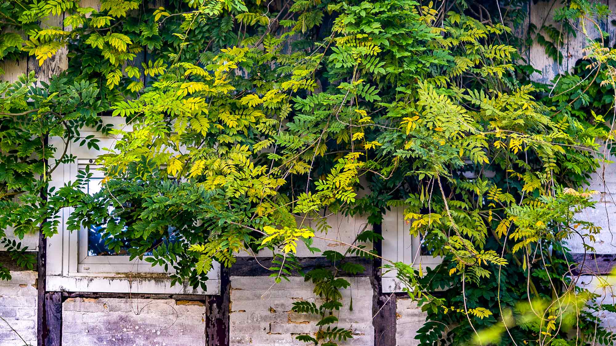 NOW Commons: Lost Place »Neue Mühle« Gütersloh … NOW Commons: Lost Place »Neue Mühle« Gütersloh …