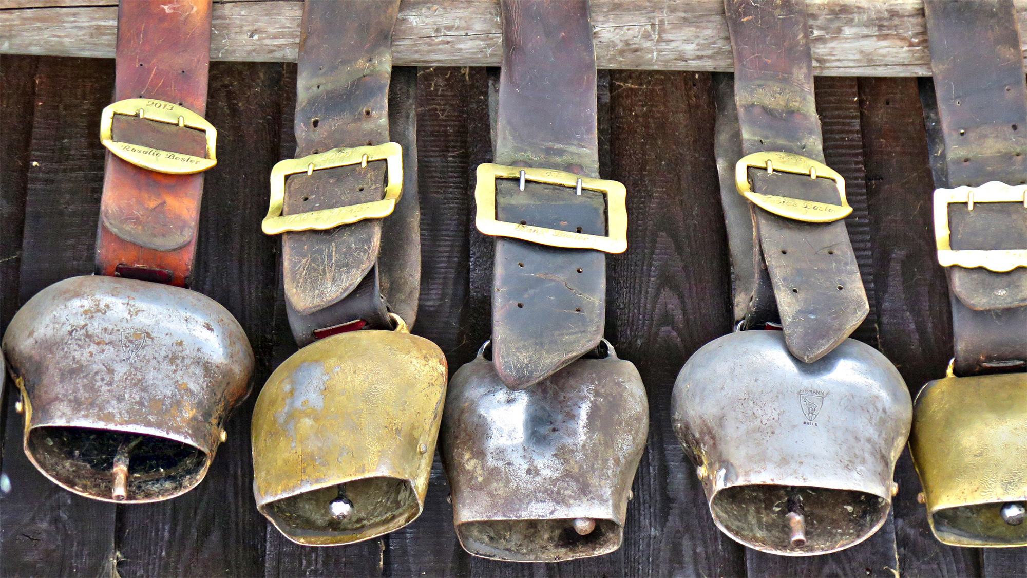 Geteiltes Leid, geteilte Freude und die Cowbell