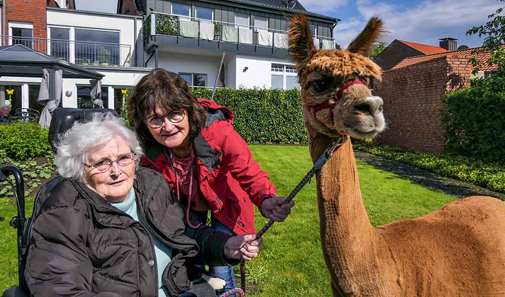 Alpakas in der Pflege-Wohngemeinschaft – Diakonie Gütersloh setzt auf tiergestützte Therapie