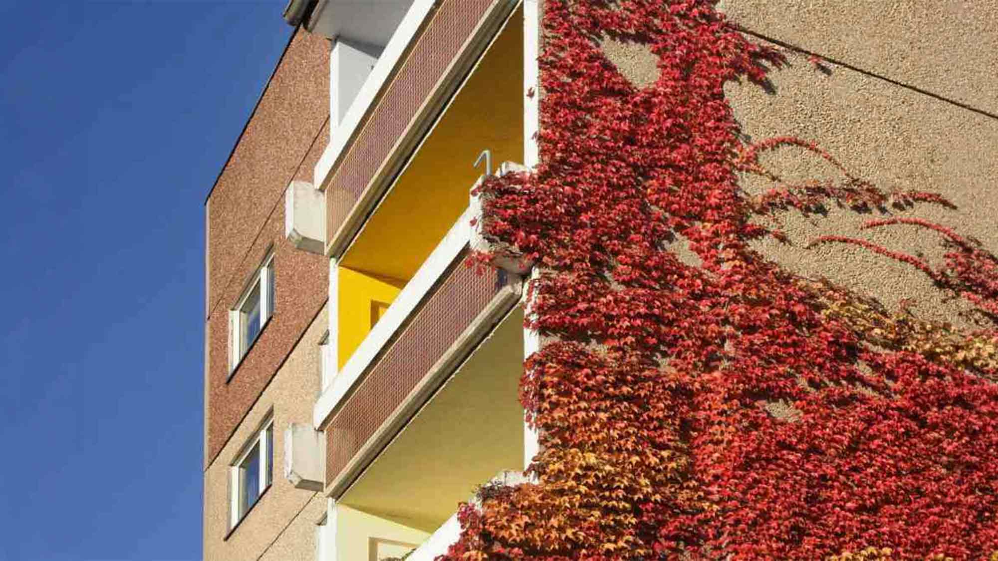 »Grüner« Ortsverband Gütersloh gegen Bebauungsplan Nummer 47/1 »Am Parkbad« – Stadt soll Alternativflächen für altengerechte Wohnungen suchen »Grüner« Ortsverband Gütersloh gegen Bebauungsplan Nummer 47/1 »Am Parkbad« – Stadt soll Alternativflächen für altengerechte Wohnungen suchen