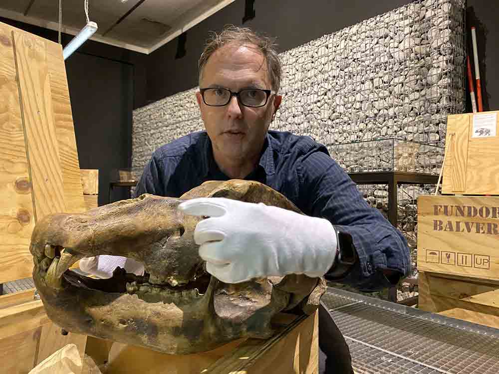 Digitale und analoge Besucher gehen Hand in Hand, LWL-Archäologiemuseum fährt bei Führungen durch die Dauerausstellung zweigleisig Digitale und analoge Besucher gehen Hand in Hand, LWL-Archäologiemuseum fährt bei Führungen durch die Dauerausstellung zweigleisig