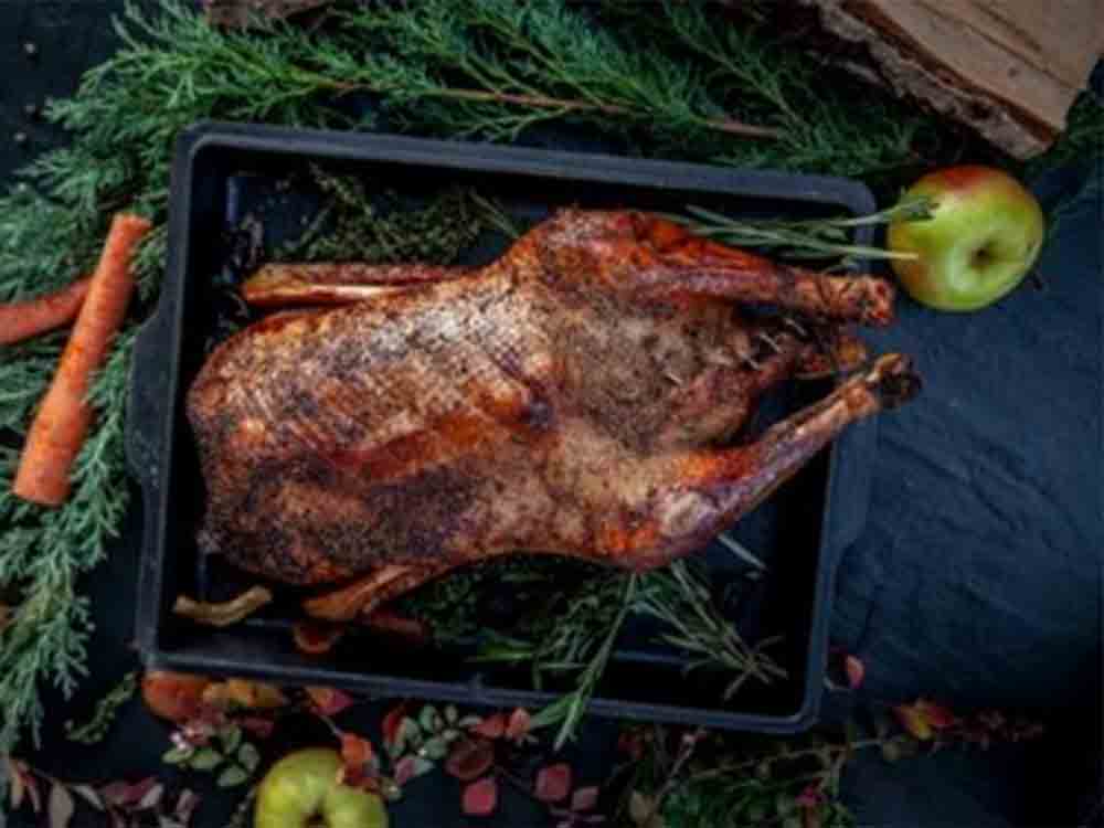 Weihnachtstrend 2021: Dieses Jahr kommt die Gans vom Grill, laut Umfrage liegt Grillen an Weihnachten besonders bei Männern im Trend Weihnachtstrend 2021: Dieses Jahr kommt die Gans vom Grill, laut Umfrage liegt Grillen an Weihnachten besonders bei Männern im Trend