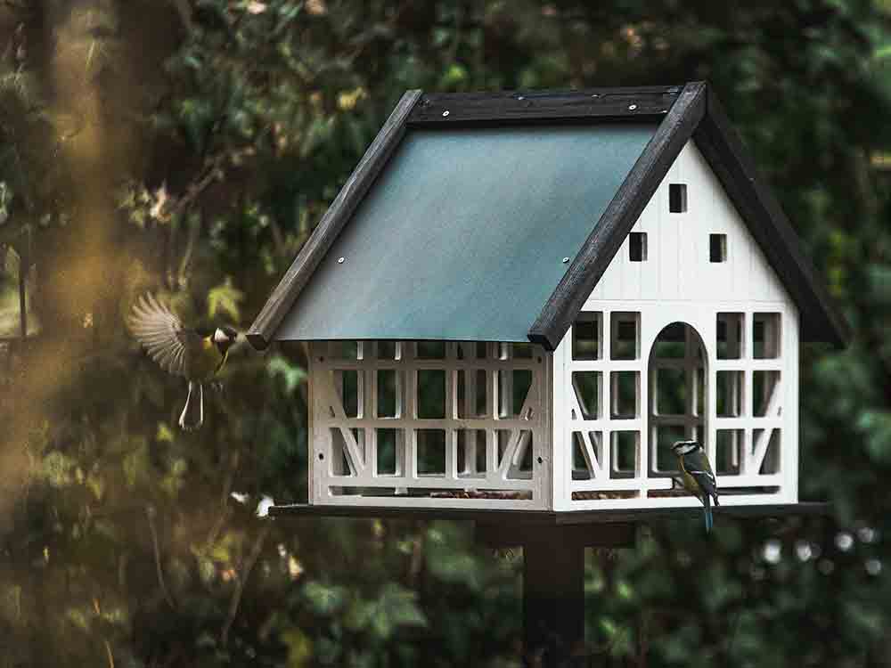 Kreis Gütersloh: Extra »Klima Miete« für die 80.100 Mieterhaushalte verhindern, Klimaschutz für Wohnungen im Kreis Gütersloh kostet 812 Mio. Euro pro Jahr