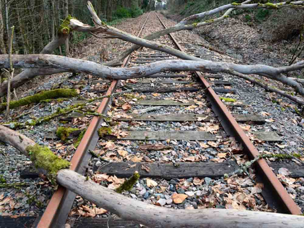 Richtige Gehölzauswahl an Bahnstrecken vermeidet Sturmschäden und Betriebsstörungen Richtige Gehölzauswahl an Bahnstrecken vermeidet Sturmschäden und Betriebsstörungen