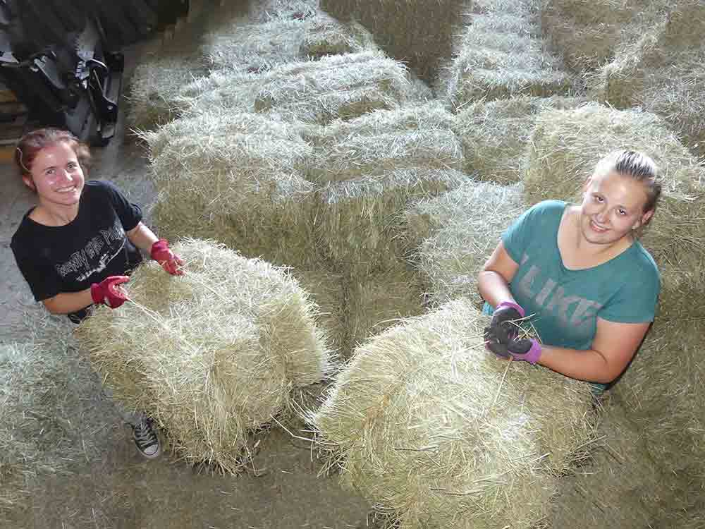 Wetterextrem lässt Heu verderben, Dankbarkeit für die Futterküche bei »Achtung für Tiere« Wetterextrem lässt Heu verderben, Dankbarkeit für die Futterküche bei »Achtung für Tiere«