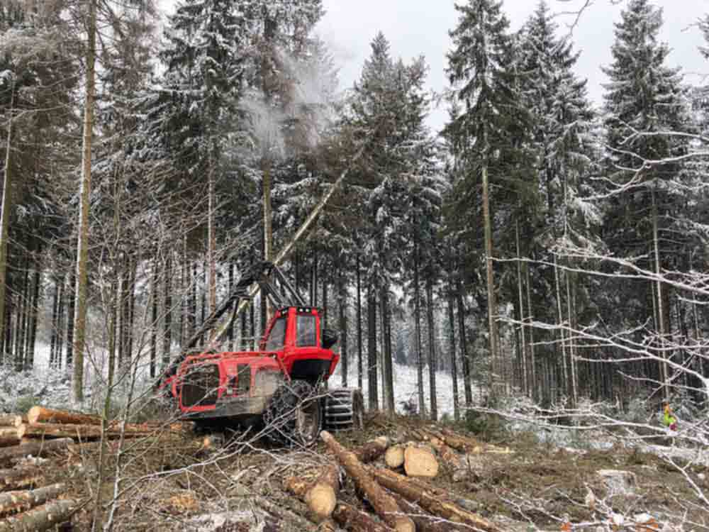 Ehemalige volkseigene Waldfläche soll Nationales Naturerbe werden, Bundesforst übernimmt Betreuung von Gelände bei Rodacherbrunn Ehemalige volkseigene Waldfläche soll Nationales Naturerbe werden, Bundesforst übernimmt Betreuung von Gelände bei Rodacherbrunn