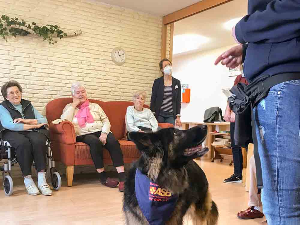 Bielefeld Sennestadt, »Besuch auf vier Pfoten« kommt ins Ernst Barlach Haus, Schäferhündin Chanel bringt Freude und Abwechslung Bielefeld Sennestadt, »Besuch auf vier Pfoten« kommt ins Ernst Barlach Haus, Schäferhündin Chanel bringt Freude und Abwechslung
