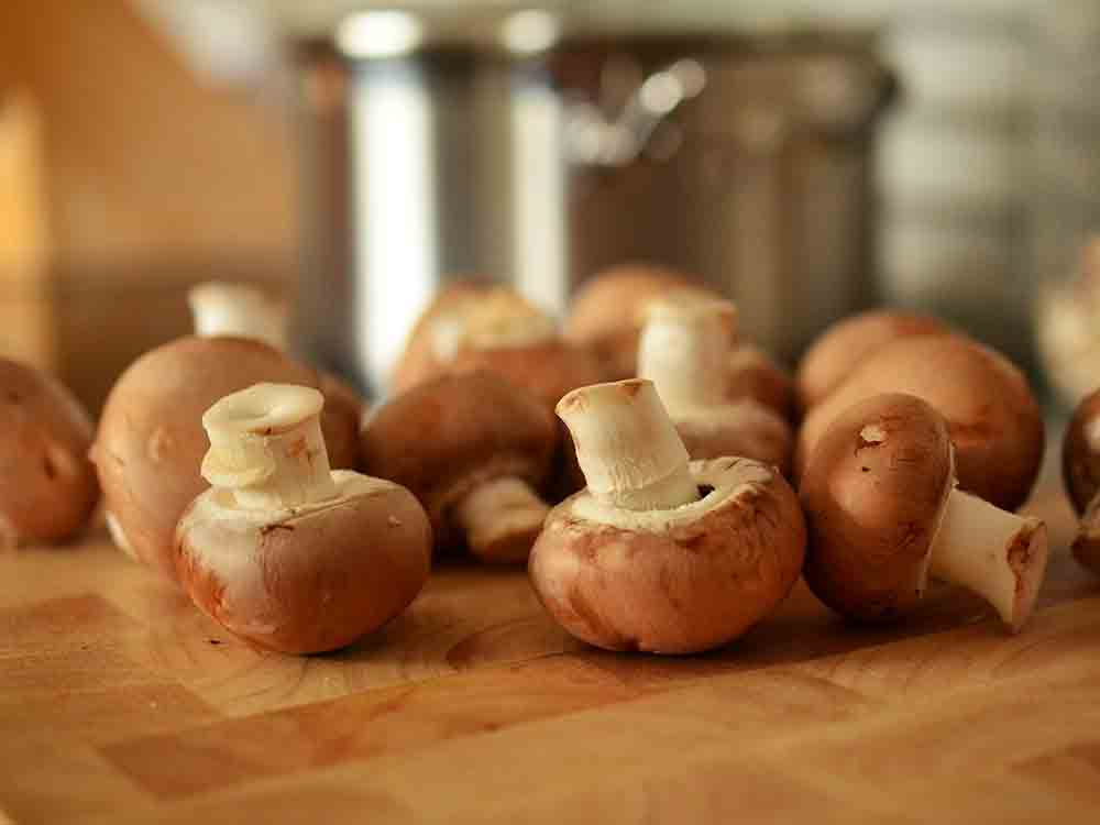 Statistisches Bundesamt, Champignonernte 2021 um 5 Prozent gegenüber 2020 gestiegen
81.000 Tonnen Champignons 2021 geerntet Statistisches Bundesamt, Champignonernte 2021 um 5 Prozent gegenüber 2020 gestiegen
81.000 Tonnen Champignons 2021 geerntet