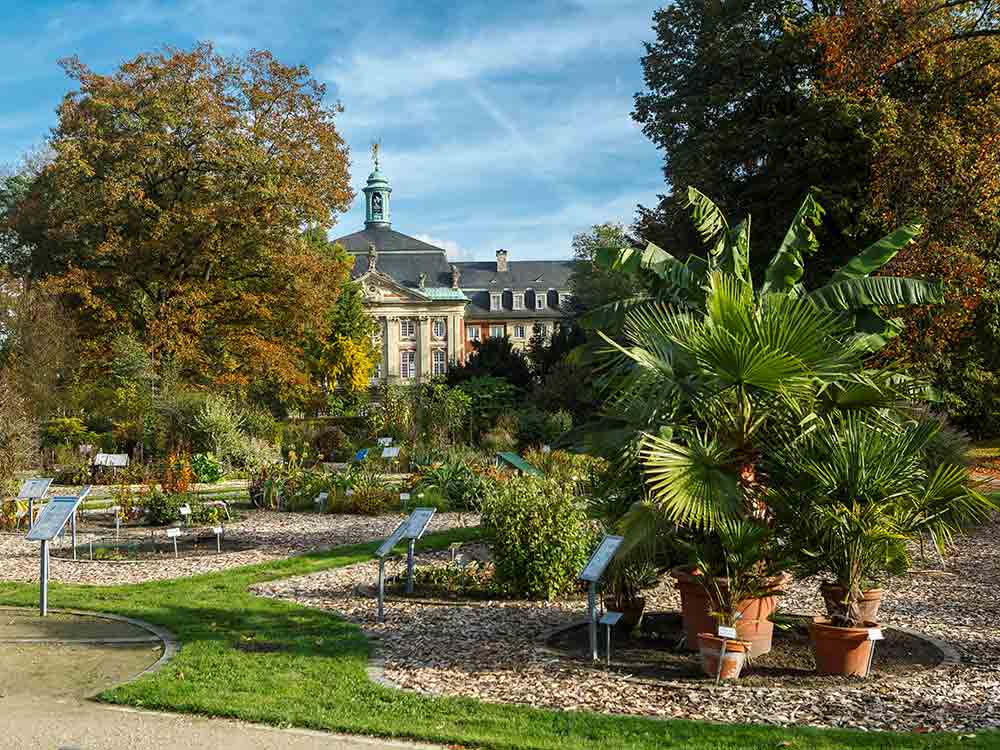 Auf Filmtour durch Münster und Umgebung, Drehorte im Münsterland, Teil 2 der Broschüre erschienen Auf Filmtour durch Münster und Umgebung, Drehorte im Münsterland, Teil 2 der Broschüre erschienen