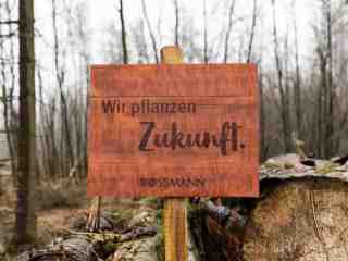 The NOW of Gütersloh