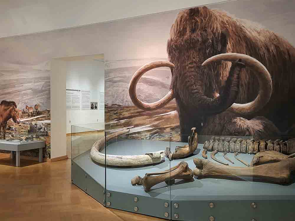 Urgeschichte zum Anfassen und Erleben, Familienführung am Sonntag, 29. Mai 2022, um 15 Uhr, im Lippischen Landesmuseum Detmold Urgeschichte zum Anfassen und Erleben, Familienführung am Sonntag, 29. Mai 2022, um 15 Uhr, im Lippischen Landesmuseum Detmold