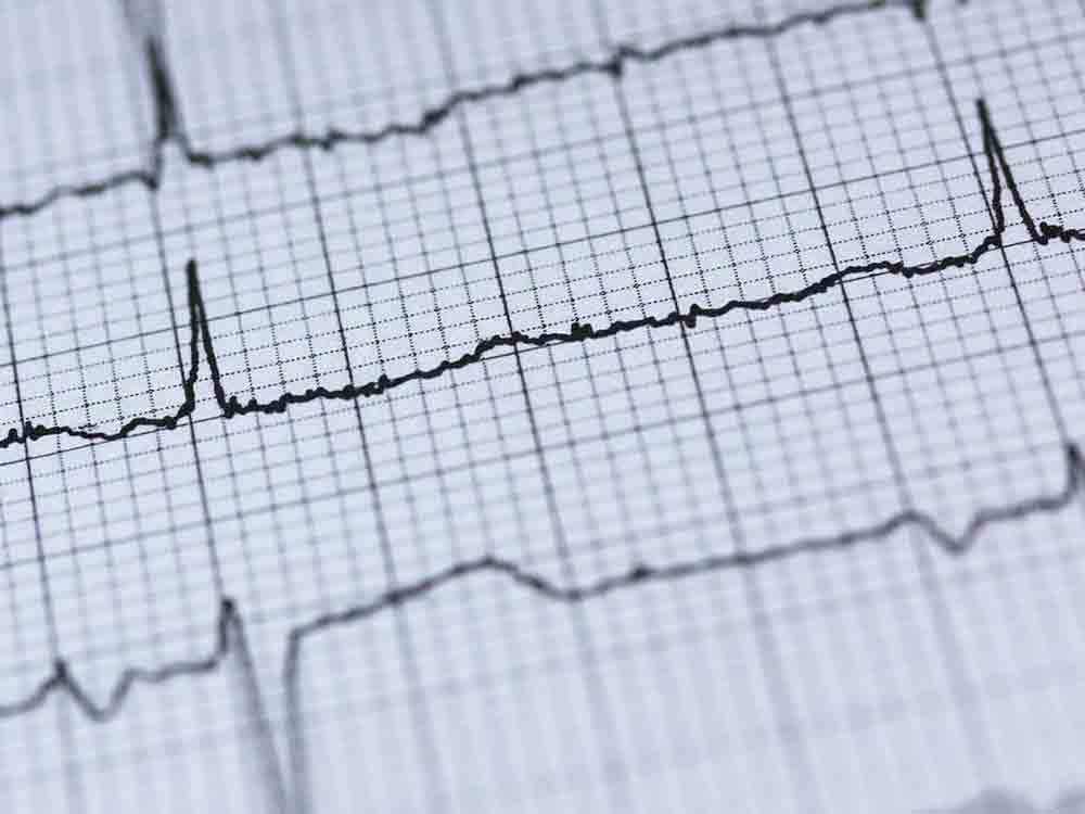 Texas Cardiac Arrhythmia Institute at St. David’s Medical Center veranstaltet internationale Konferenz über komplexe Herzrhythmusstörungen