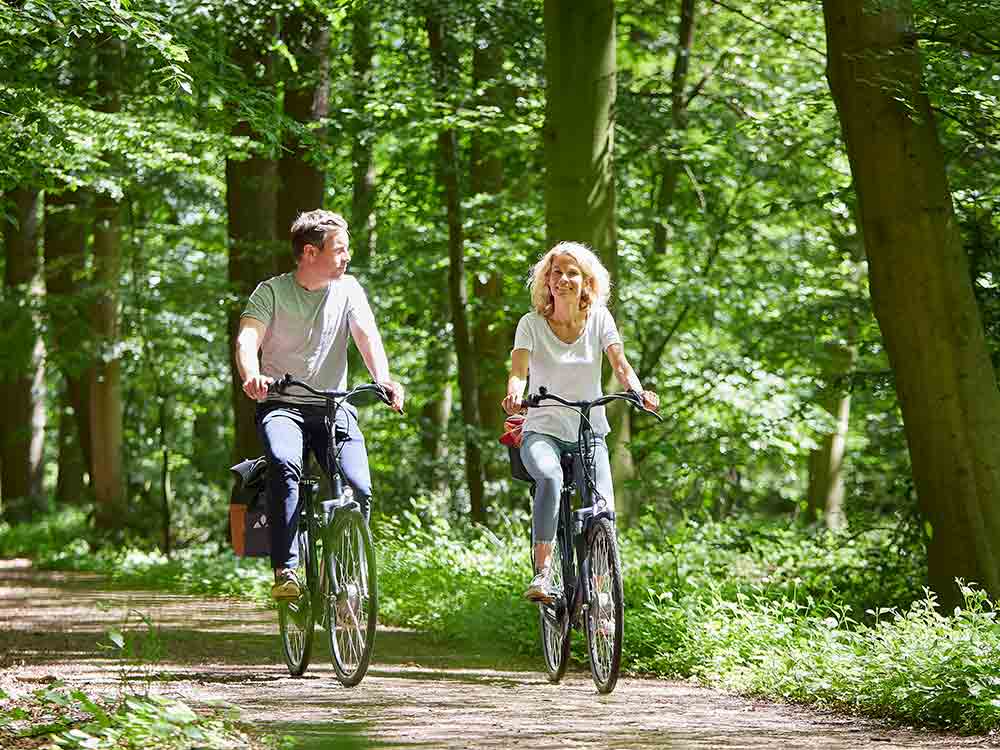 Im Sattel am schönsten, neue Rad und Reitkarte vom Verein Münsterland Im Sattel am schönsten, neue Rad und Reitkarte vom Verein Münsterland