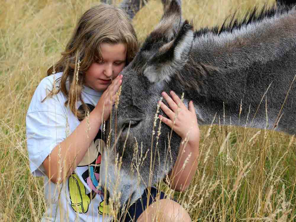 Einige Tiere zu retten reicht nicht, fröhlich, traurig, lehrreich, Ferienspiele bei Achtung für Tiere