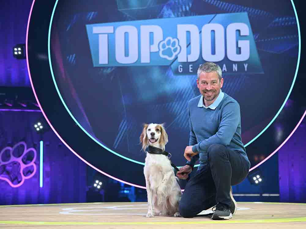 Mit Tulip zu Top Dog Germany, Therapiebegleithund aus der LWL Tagesklinik Coesfeld nimmt an TV Show teil Mit Tulip zu Top Dog Germany, Therapiebegleithund aus der LWL Tagesklinik Coesfeld nimmt an TV Show teil