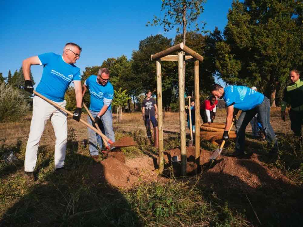 Der Freiwilligentag der Metropolregion Rhein Neckar rückt näher, knapp ein Monat bis zum großen Mitmach Event am 17. September 2022 Der Freiwilligentag der Metropolregion Rhein Neckar rückt näher, knapp ein Monat bis zum großen Mitmach Event am 17. September 2022