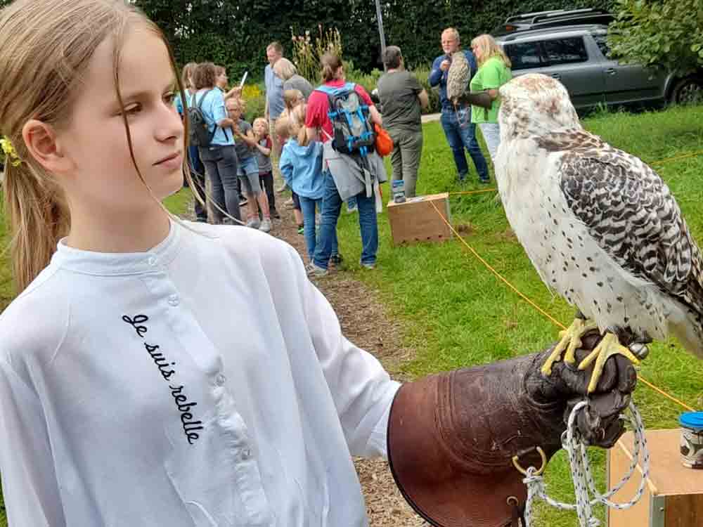 Rheda Wiedenbrück, Greifvögel, Waldtiere und ein Rückepferd, Tag der Ökologie im Flora Westfalica Park, 11. September 2022