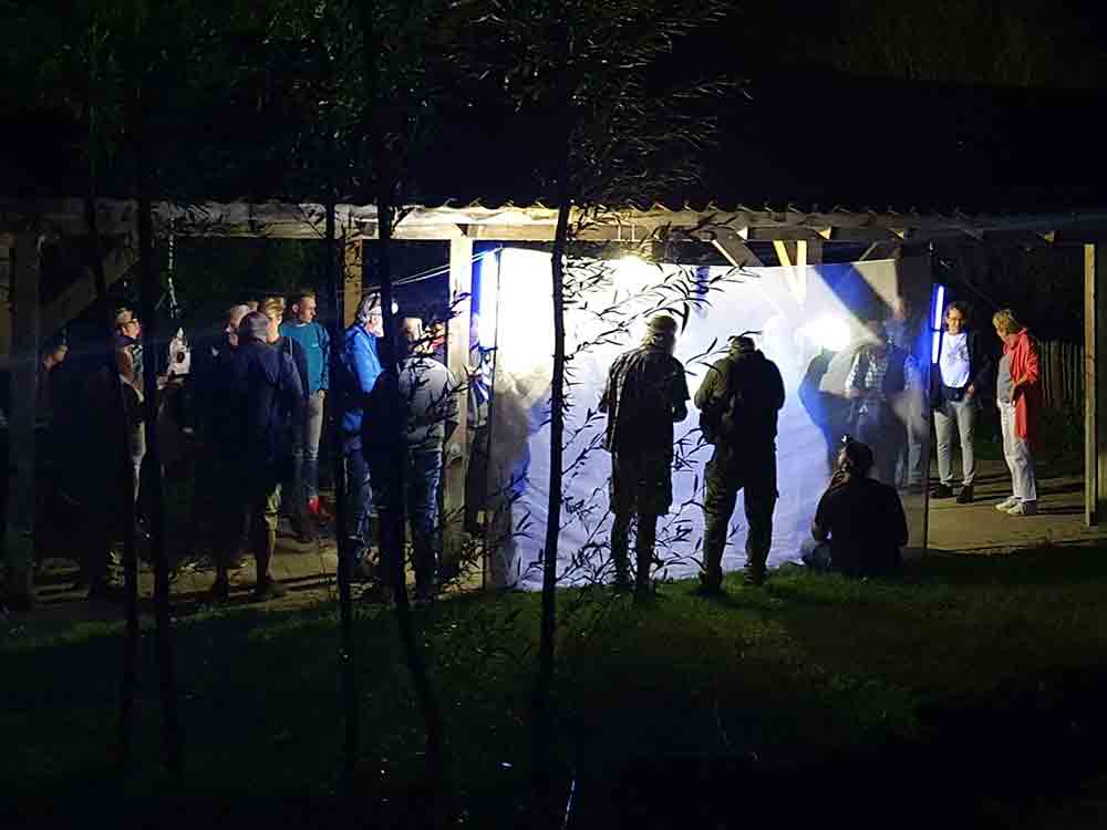 Das große Leuchten in Oelde, Insektennacht mit öffentlicher Leuchtaktion im Naturschutzgebiet Bergeler Wald, 16. September 2022 Das große Leuchten in Oelde, Insektennacht mit öffentlicher Leuchtaktion im Naturschutzgebiet Bergeler Wald, 16. September 2022