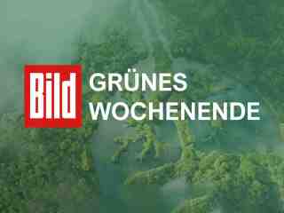 The NOW of Gütersloh