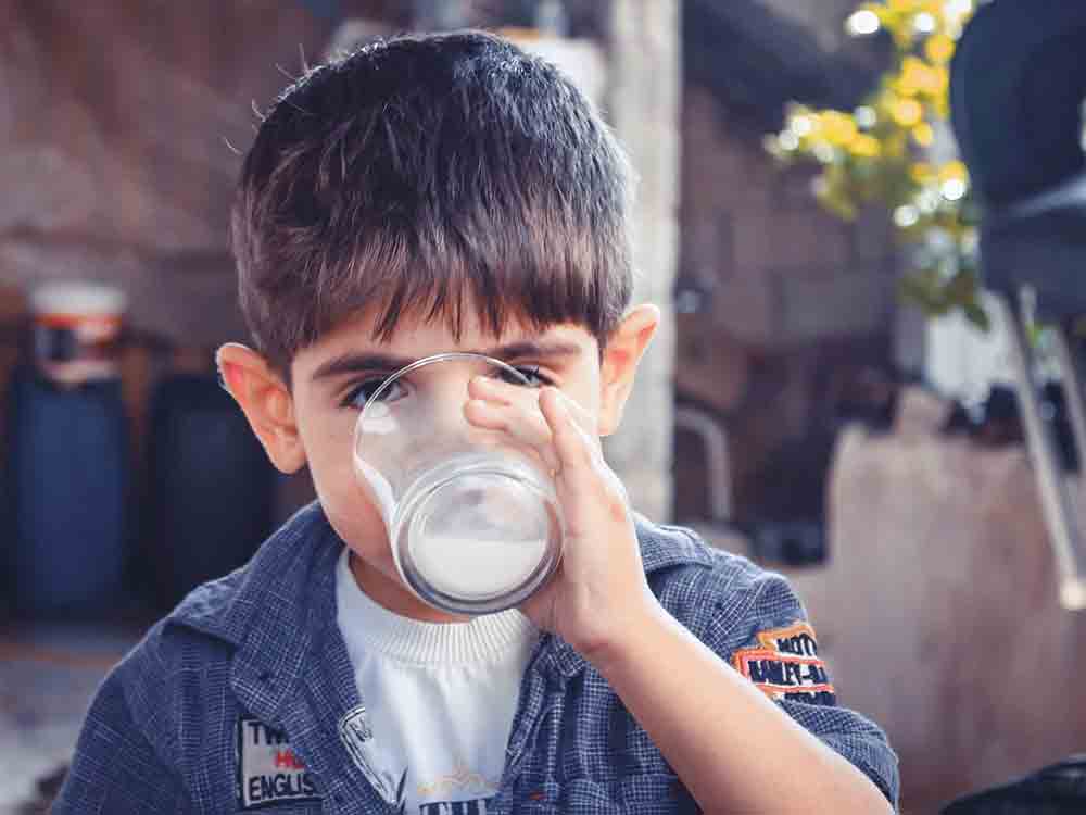 Weltschulmilchtag, Schulmilchprogramme wertvoll für Schüler, Bauernverband für Aufstockung und Vereinfachung des EU Schulprogramms Weltschulmilchtag, Schulmilchprogramme wertvoll für Schüler, Bauernverband für Aufstockung und Vereinfachung des EU Schulprogramms