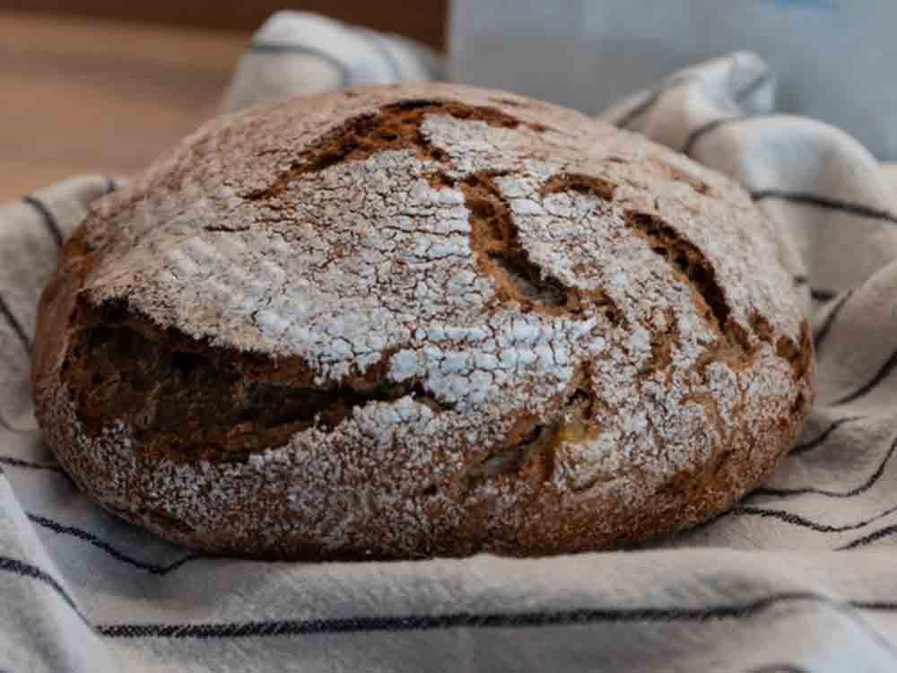 Rezepte für Gütersloh, Brauhaus Leckerei für zu Hause, wenn Bier und Kartoffeln auf Brot treffen Rezepte für Gütersloh, Brauhaus Leckerei für zu Hause, wenn Bier und Kartoffeln auf Brot treffen