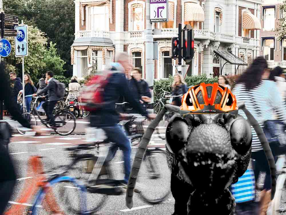 Gütersloh, von Tempolimits, Radfahrern, Konflikten, Straßenverkehr, Gefahrensituationen, Superideologien, Ameisen, Sonntagsfahrern und Straßen Gütersloh, von Tempolimits, Radfahrern, Konflikten, Straßenverkehr, Gefahrensituationen, Superideologien, Ameisen, Sonntagsfahrern und Straßen