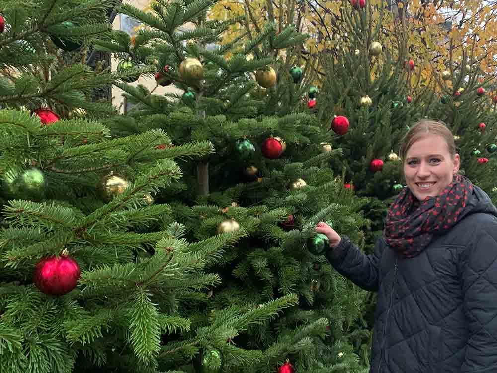 40 Weihnachtsbäume in der Bielefelder Innenstadt, das City Team Bielefeld sorgt 2022 für noch mehr festliche Atmosphäre im Zentrum 40 Weihnachtsbäume in der Bielefelder Innenstadt, das City Team Bielefeld sorgt 2022 für noch mehr festliche Atmosphäre im Zentrum