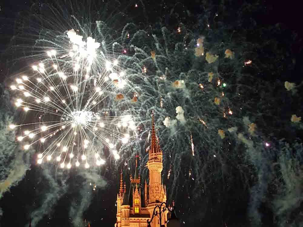 NABU fordert Verbot von privatem Silvesterfeuerwerk, vor allem Vögel leiden unter lauter Knallerei NABU fordert Verbot von privatem Silvesterfeuerwerk, vor allem Vögel leiden unter lauter Knallerei