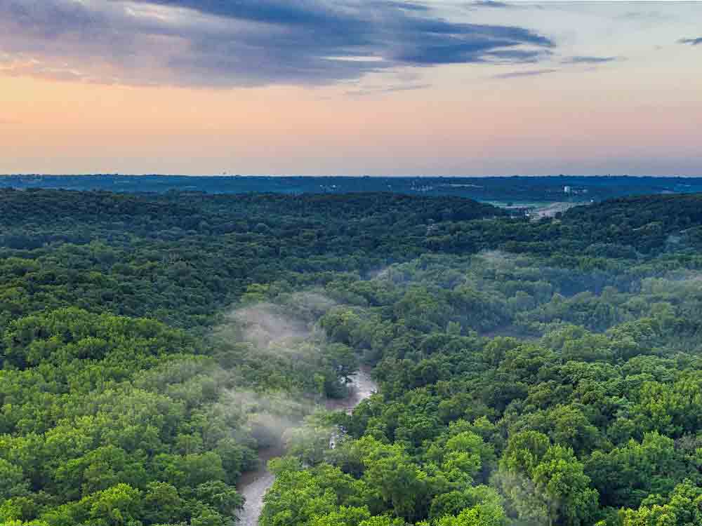 Illegale Entwaldung und Landraub: Neuer Bericht von Deutsche Umwelthilfe und Repórter Brasil belegt dramatische Folgen des Sojaanbaus Illegale Entwaldung und Landraub: Neuer Bericht von Deutsche Umwelthilfe und Repórter Brasil belegt dramatische Folgen des Sojaanbaus