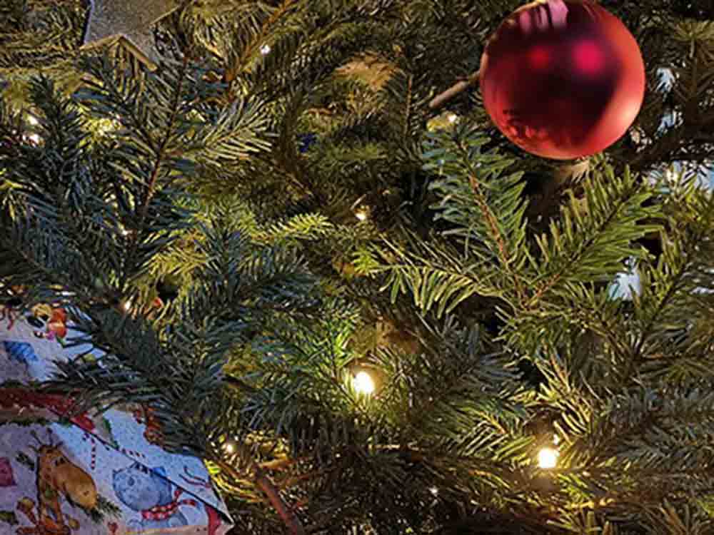 Alles Wichtige zum Weihnachtsbaum, Infos zu nachhaltigen Naturbäumen: Preise, Tipps und Trends für das Fest 2022 Alles Wichtige zum Weihnachtsbaum, Infos zu nachhaltigen Naturbäumen: Preise, Tipps und Trends für das Fest 2022