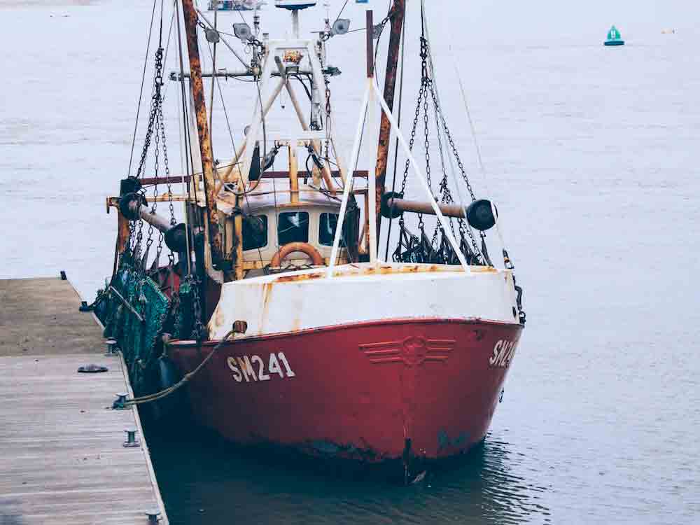 Grüne Politik und Rote Liste: Lob und Kritik an den Nordsee Fangquoten 2023 vom BUND