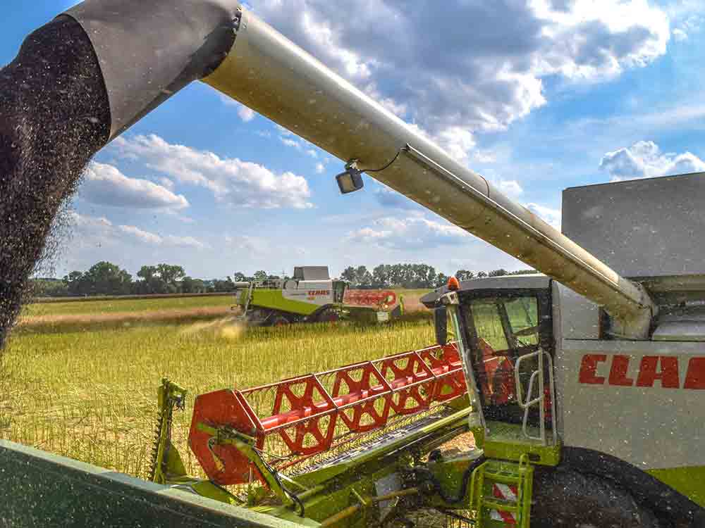Bauern ziehen Bilanz: Wie sieht die Zukunft der Landwirtschaft aus? Enorme Unsicherheit auf den Höfen Bauern ziehen Bilanz: Wie sieht die Zukunft der Landwirtschaft aus? Enorme Unsicherheit auf den Höfen