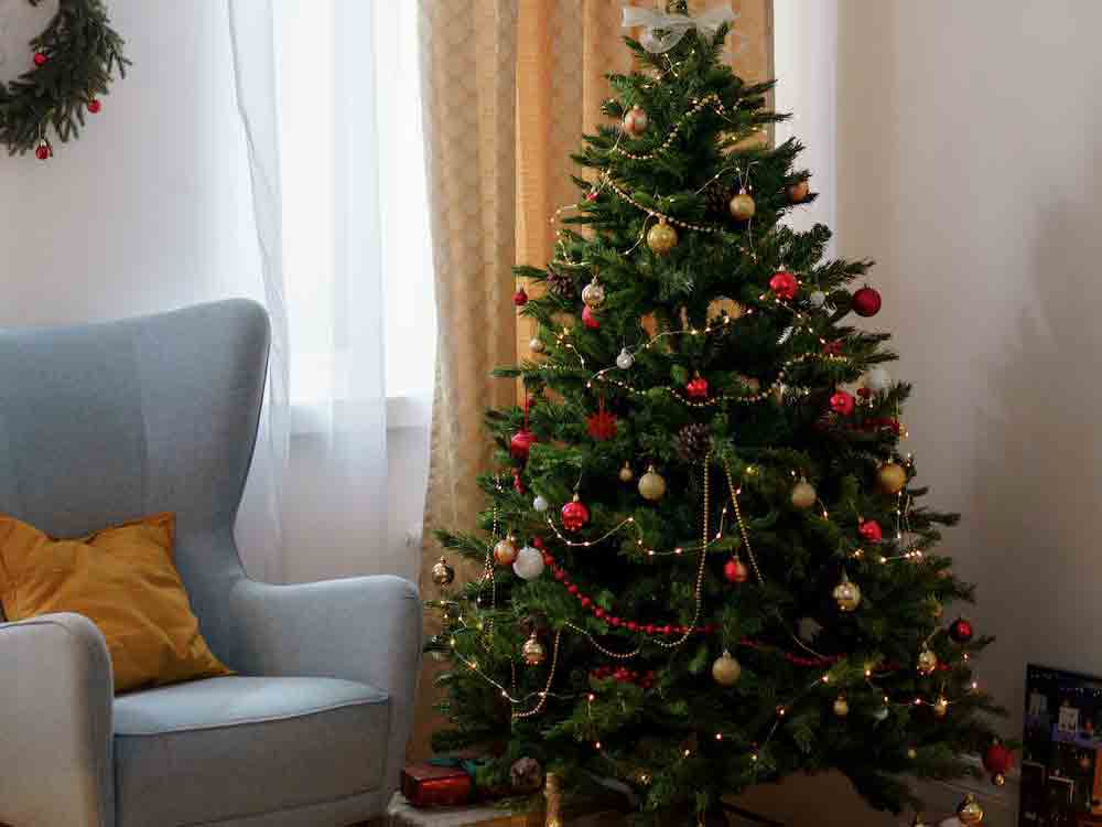 Rietberg, Weihnachtstannen abholen lassen, alle Termine 2022, sinnvolle Entsorgung der ausrangierten Christbäume Rietberg, Weihnachtstannen abholen lassen, alle Termine 2022, sinnvolle Entsorgung der ausrangierten Christbäume