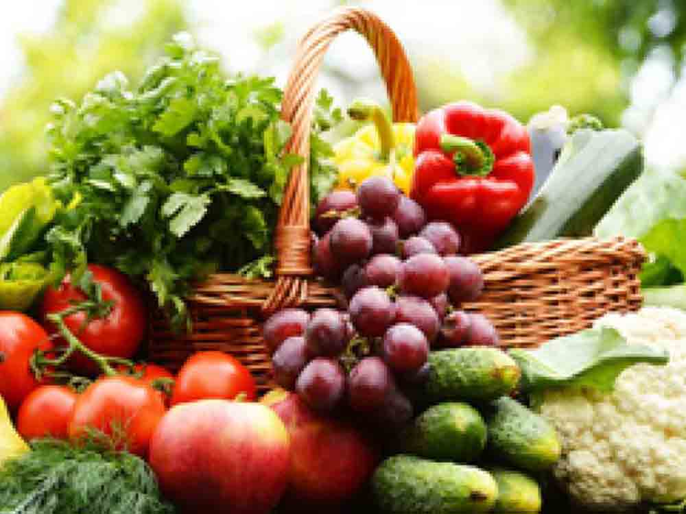 Gütersloh, Gesundheitsveranstaltungen im Februar und März 2023, Ernährungsberaterin und Gesundheitsberaterin Elke Baumann Gütersloh, Gesundheitsveranstaltungen im Februar und März 2023, Ernährungsberaterin und Gesundheitsberaterin Elke Baumann