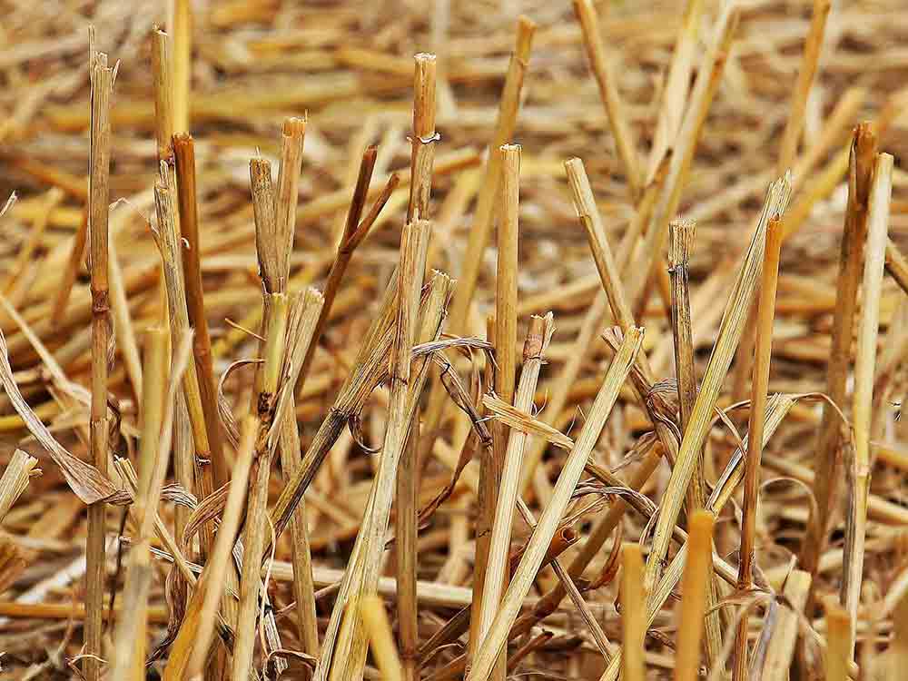 Landtechnik für Profis: Halmfutterernte im Fokus, Fachtagung von DLG und VDI MEG am 14. und 15. Februar 2023 bei Pöttinger in Grieskirchen (Österreich) Landtechnik für Profis: Halmfutterernte im Fokus, Fachtagung von DLG und VDI MEG am 14. und 15. Februar 2023 bei Pöttinger in Grieskirchen (Österreich)
