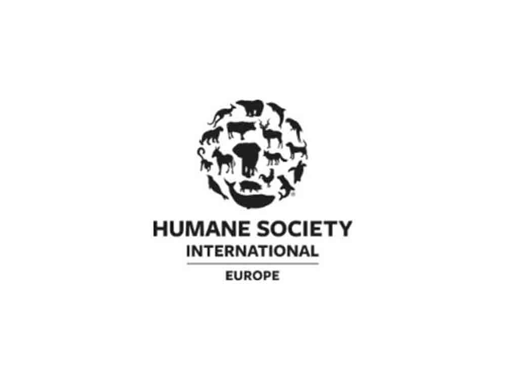 Stellungnahme von HSI Europe zur Frühjahr Sommer Kollektion 2023 von Schiaparelli auf der Pariser Couture Show Stellungnahme von HSI Europe zur Frühjahr Sommer Kollektion 2023 von Schiaparelli auf der Pariser Couture Show