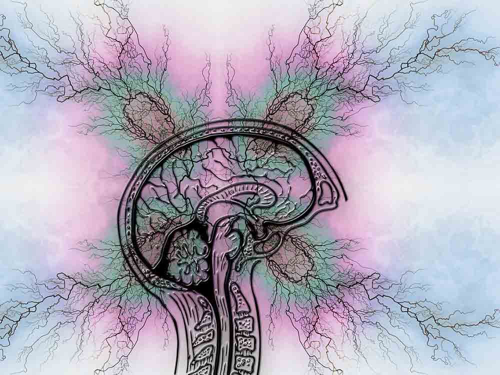 Psychosoziale Beratung für Epilepsie Erkrankte setzt vor allem bei Edukation und mentaler Stärkung an Psychosoziale Beratung für Epilepsie Erkrankte setzt vor allem bei Edukation und mentaler Stärkung an