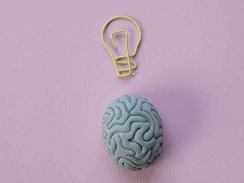 Fröhlich Qualität Liefern (FQL), wer sich für kognitive Neurowissenschaft interessiert, sollte am 13. und 14. April 2023 bei der Neuro Expo Online dabei sein Fröhlich Qualität Liefern (FQL), wer sich für kognitive Neurowissenschaft interessiert, sollte am 13. und 14. April 2023 bei der Neuro Expo Online dabei sein