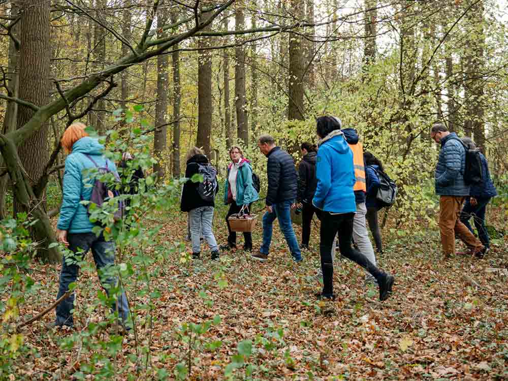 Artenakademie startet mit Pilzsuche in das Jahr, auf Winterpilz Exkursion mit dem LWL Museum für Naturkunde Artenakademie startet mit Pilzsuche in das Jahr, auf Winterpilz Exkursion mit dem LWL Museum für Naturkunde