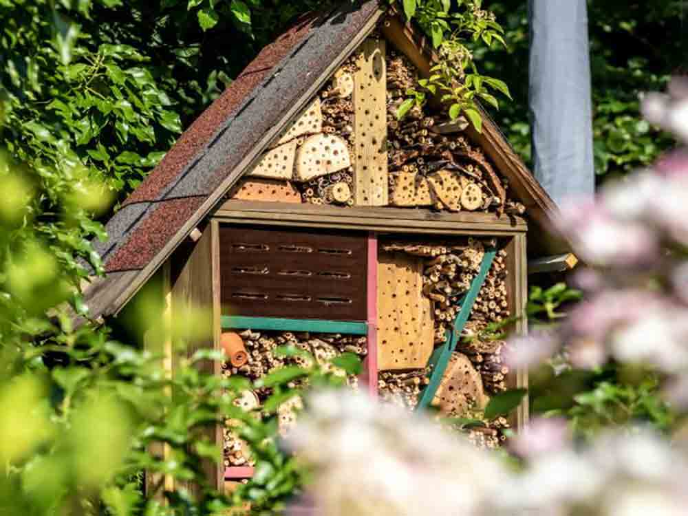Gütersloh, Treffpunkt Montagabend für alle, Schutz für Insekten & Co. im Garten und auf dem Balkon