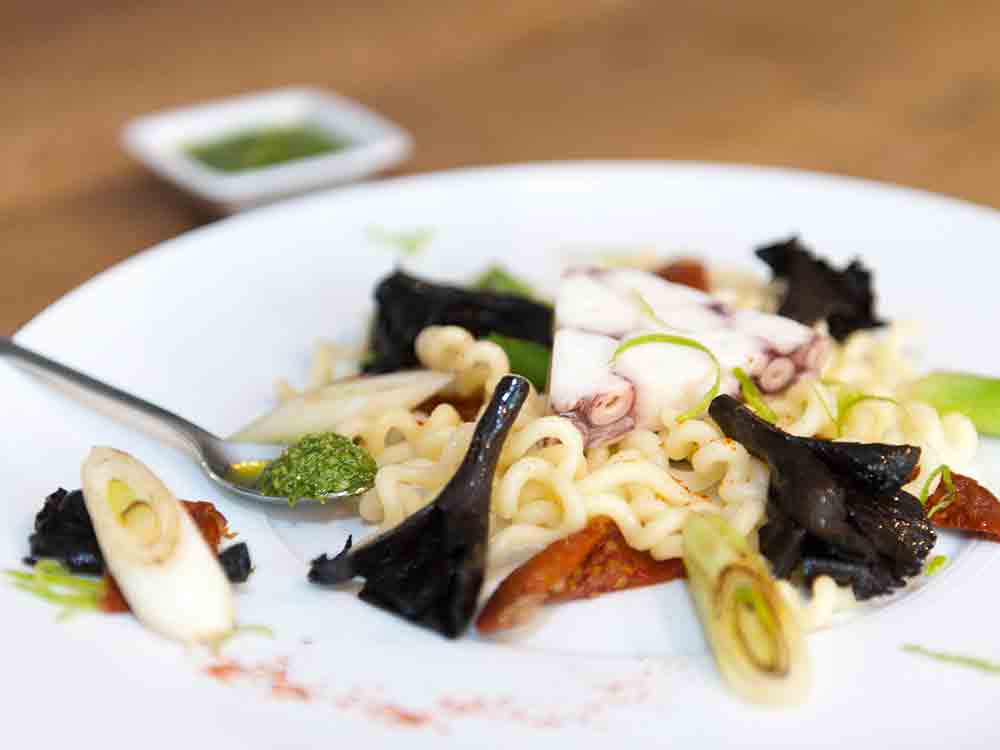 Rezepte für Gütersloh, Pulpo auf Fusilli und Kürbisrahmsuppe mit Saltimbocca vom Kabeljau Rezepte für Gütersloh, Pulpo auf Fusilli und Kürbisrahmsuppe mit Saltimbocca vom Kabeljau