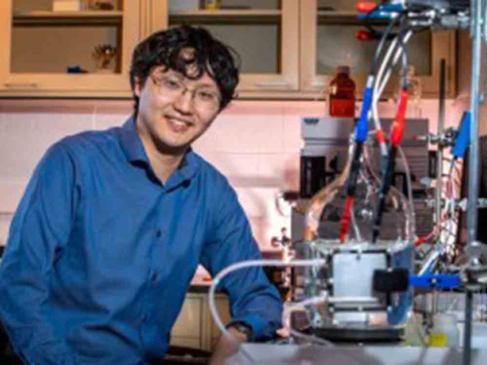 »Wunderzelle« gewinnt Ammoniak aus Nitraten, Wissenschaftler der University of Illinois erreichen Umwandlung in nur einem einzigen Schritt »Wunderzelle« gewinnt Ammoniak aus Nitraten, Wissenschaftler der University of Illinois erreichen Umwandlung in nur einem einzigen Schritt